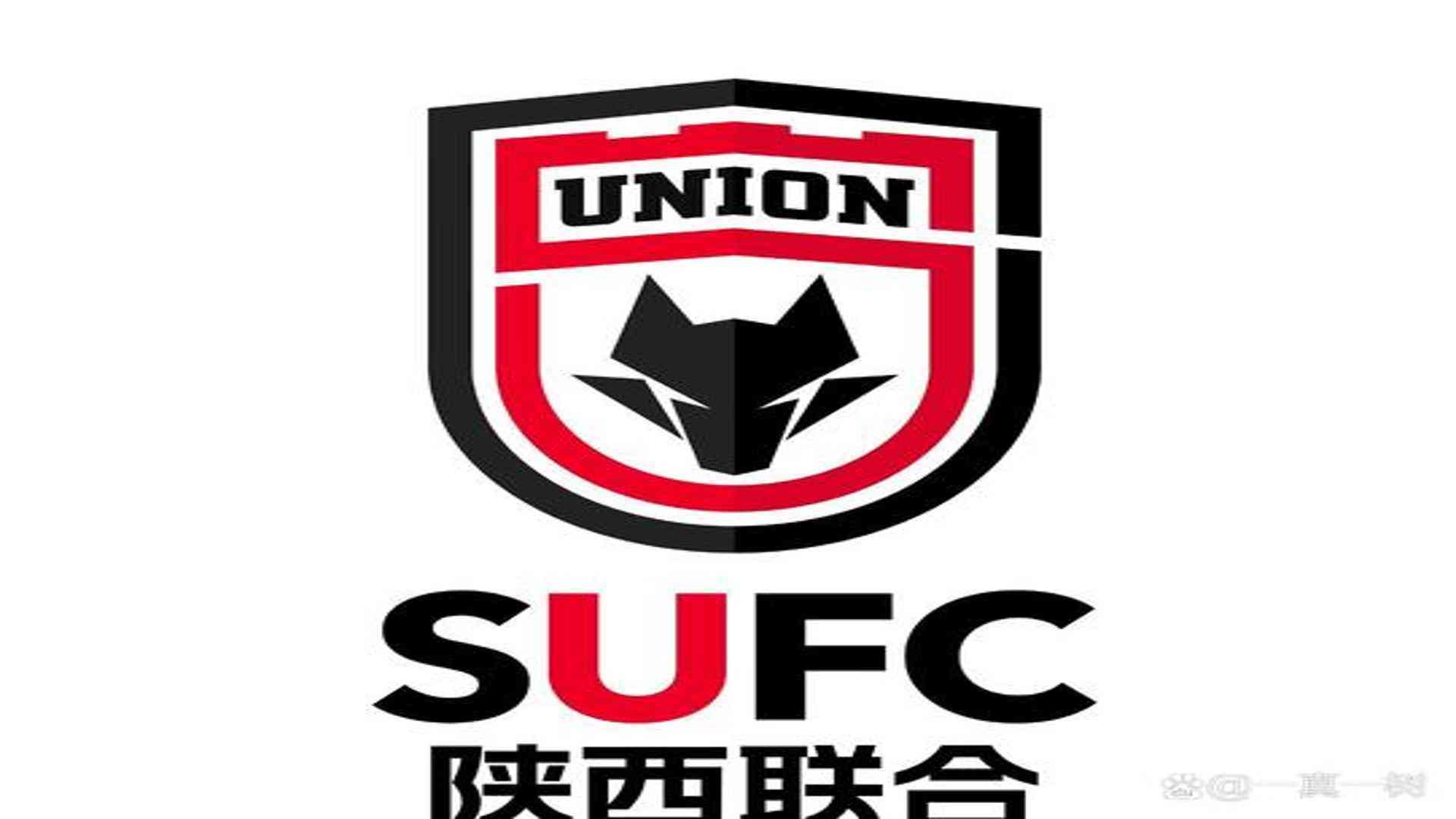 电影《坚如磐石》终极预告